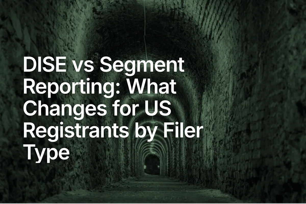 DISE vs Segment Reporting: What Changes for US Registrants by Filer Type