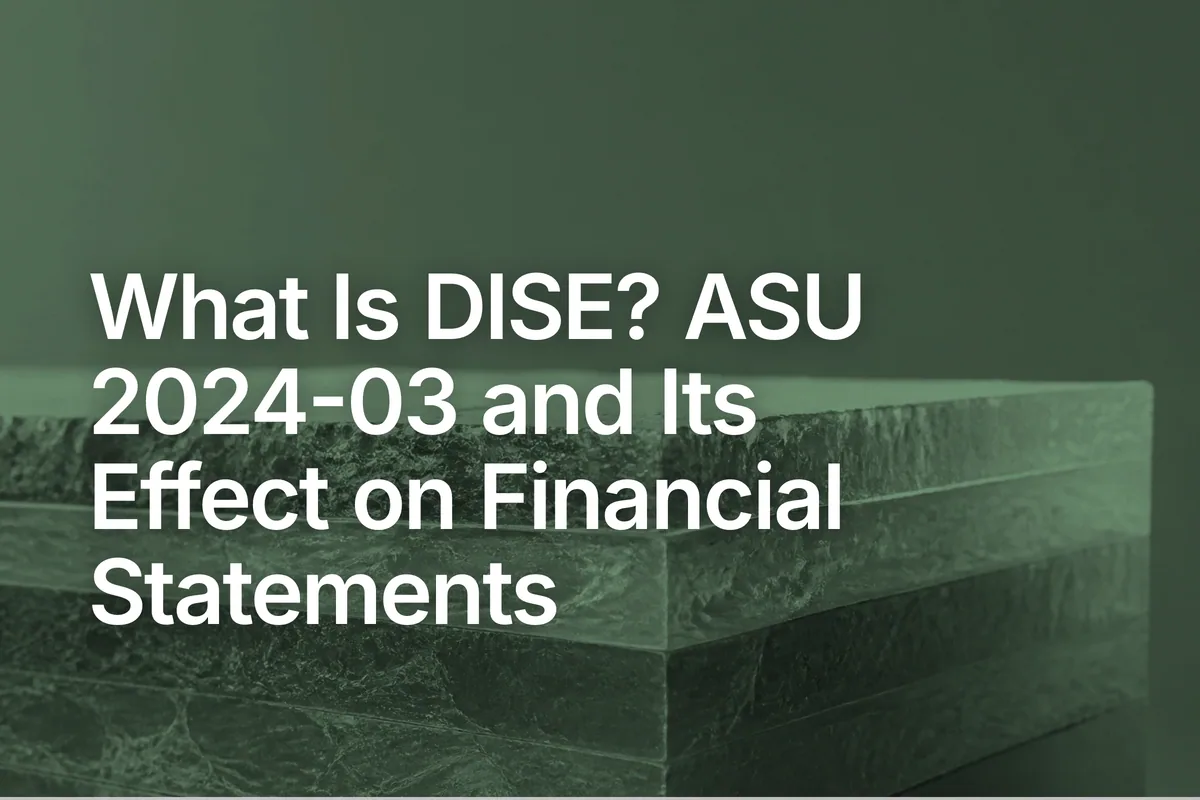What Is DISE? ASU 2024-03 and Its Effect on Financial Statements